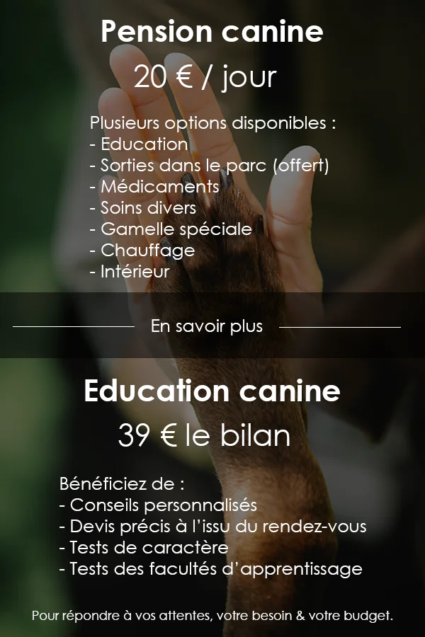 Tarifs pension et éducation canine