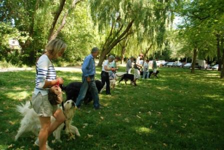 Groupe éducation canine aix