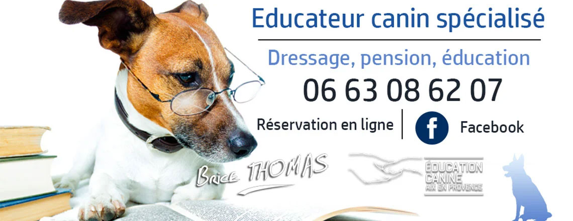 Cours d'éducation canine