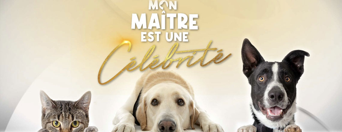 Croquettes pour chiens & éleveurs