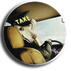 Taxi canin