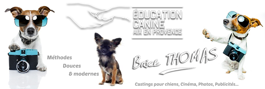 Education Canine Aix