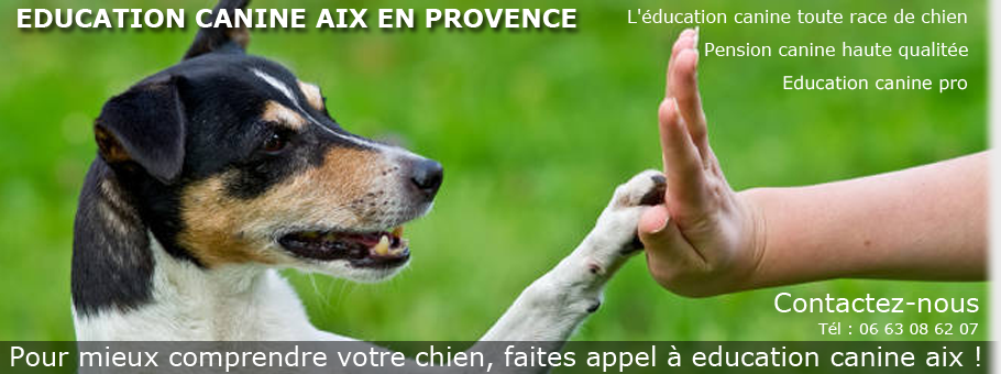 Education Canine Aix - Nos services