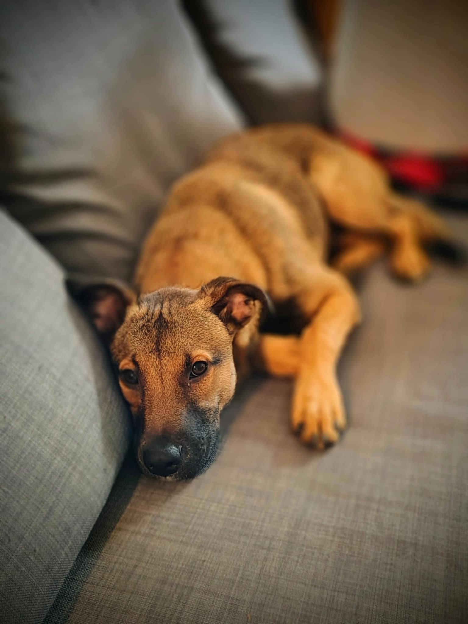 Nina